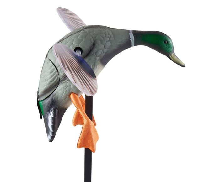 Sukamojo sparno ančių baidyklės medžioklei10