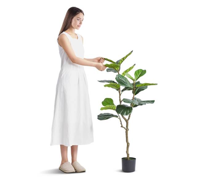 Dirbtinis fikusų medis 1.2 m0