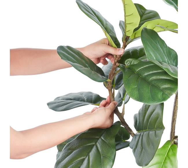 Dirbtinis fikusų medis 1.2 m8