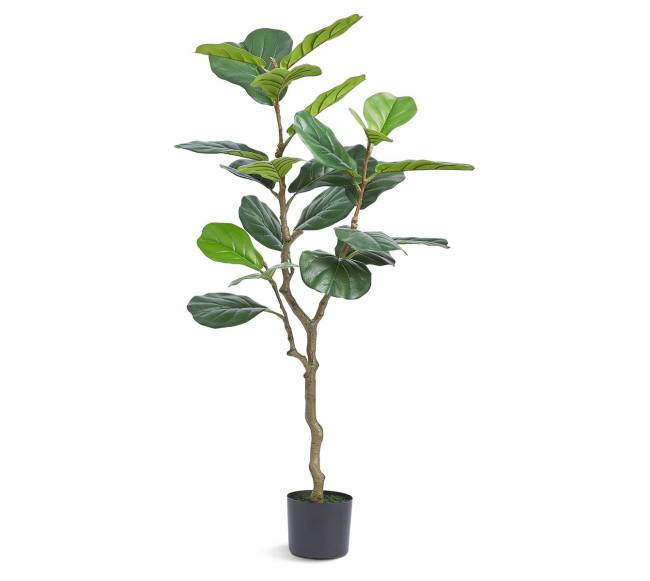 Dirbtinis fikusų medis 1.2 m9