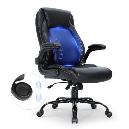 Ergonominė biuro kėdė su reguliuojama atrama0