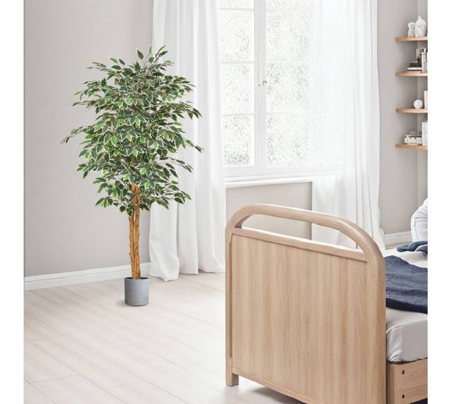 150 cm aukščio dirbtinis fikuso medis7