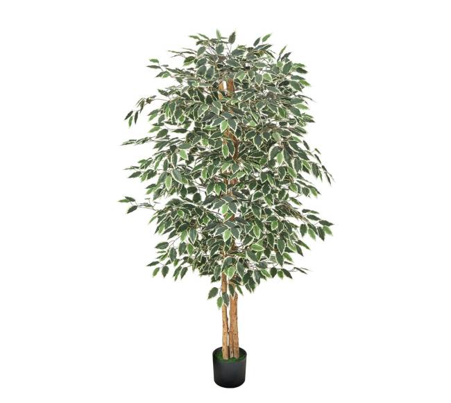 180 cm dirbtinis fikusas su vazonu vidaus dekorui9