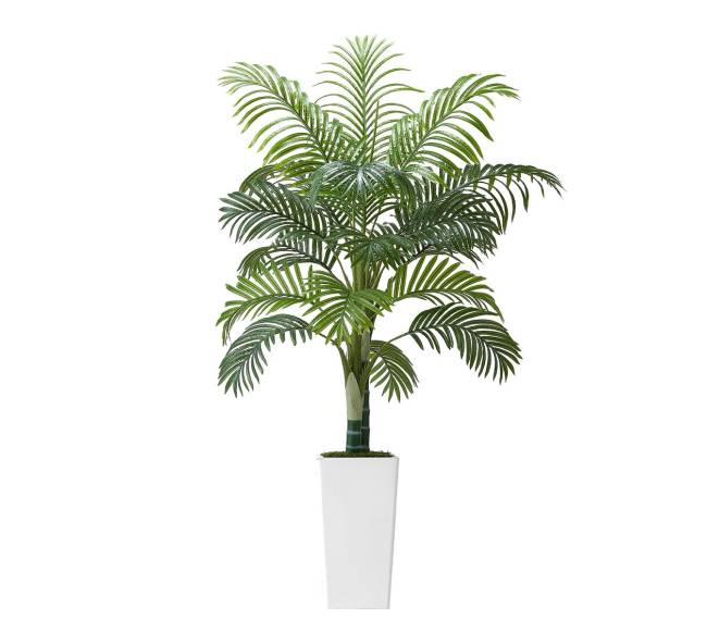 Dirbtinis arekos palmės medis su baltu vazonu8