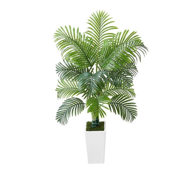 Dirbtinis arekos palmės medis su baltu vazonu9