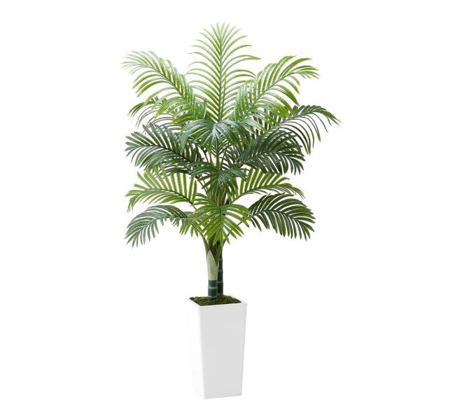 Dirbtinis arekos palmės medis su baltu vazonu10