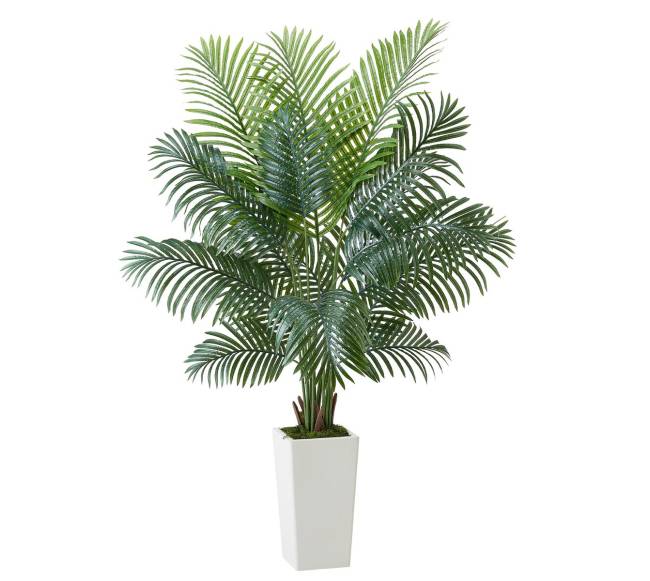 Dirbtinis arekos palmės medis vazonėlyje10
