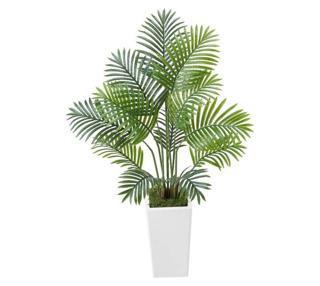 121 cm dirbtinės arekos palmės su vazonu9