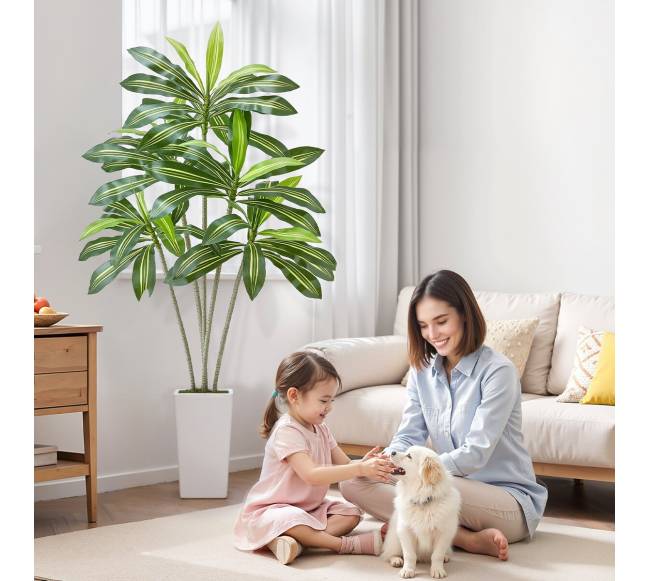 Dirbtinė Dracena su baltu vazonu7