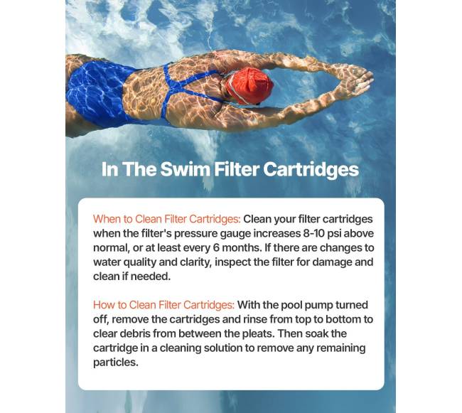 Baseino filtro kasetė, pakeitimas Pentair ir Pleatco6