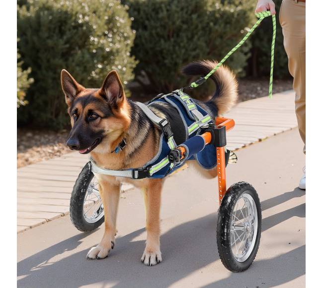 Vežimėlis šunims su galiniais ratais7