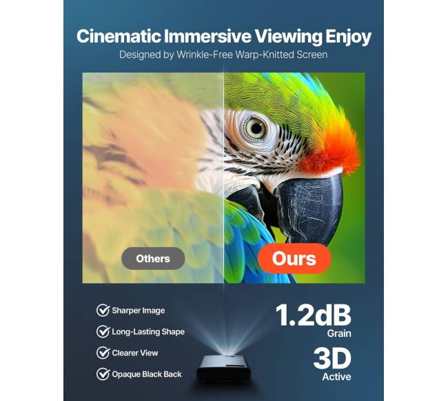 Rankinė projekcinė ekrano siena 4:3 formatas2