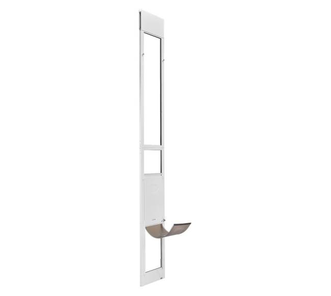 Šuns durys slankiojantiems stiklo durims8