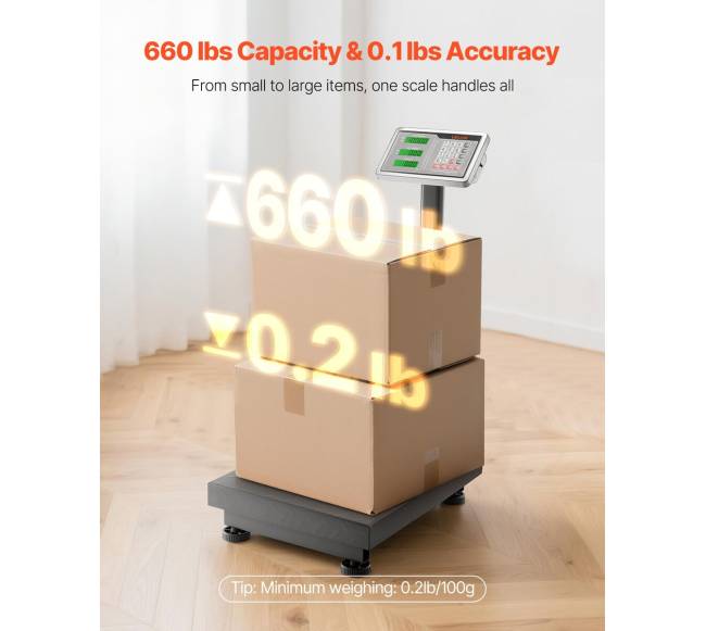 Elektroninės platforminės svarstyklės 300 kg, tikslumas 50 g1