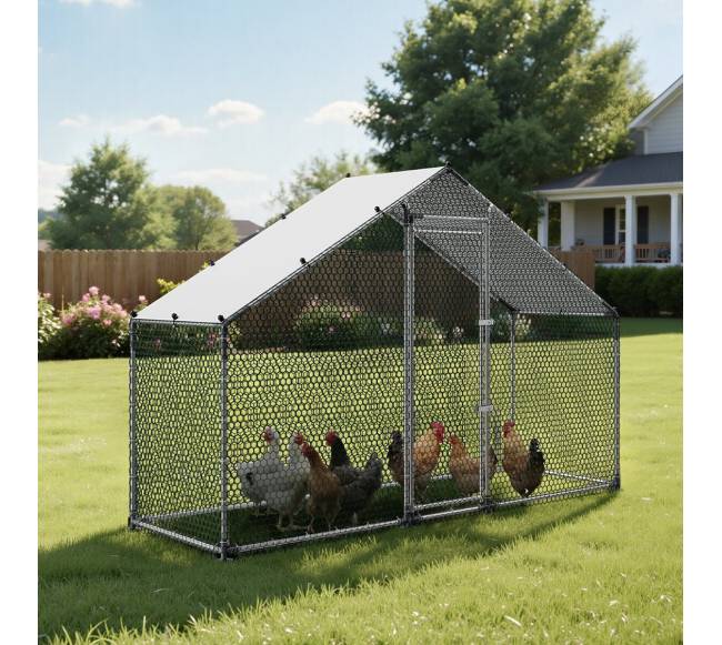 Didelis metalinis vištidė kiemui7