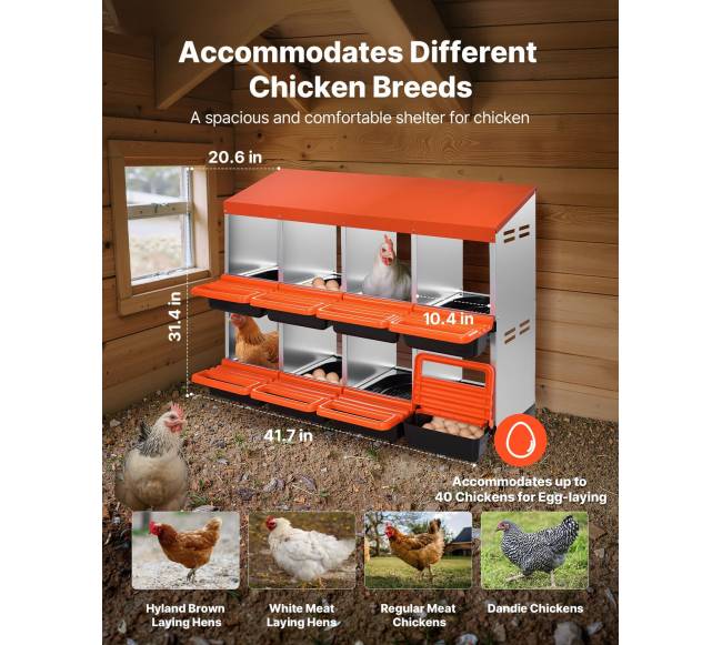 Dviejų lygių vištų lizdų dėžės1