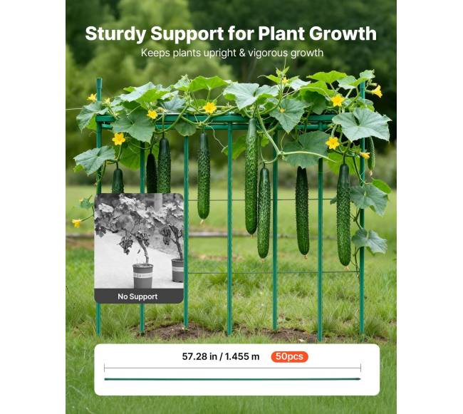 Sodo kuolai su augalų atramomis 50 vnt.1