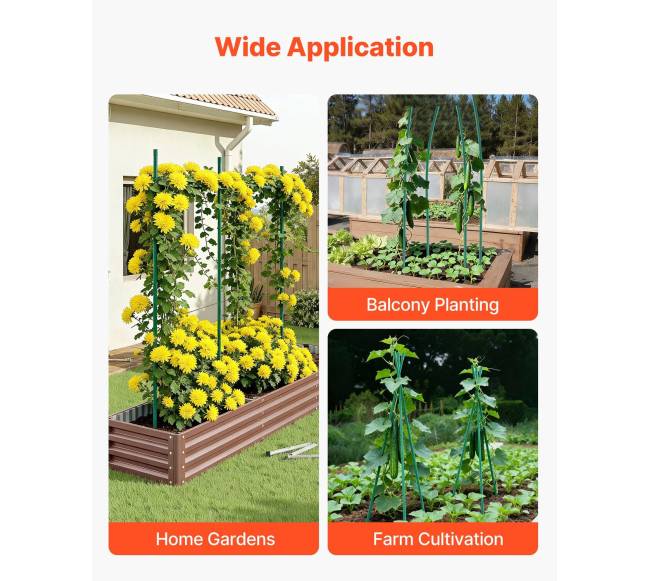 Sodo kuolai su augalų atramomis 50 vnt.5