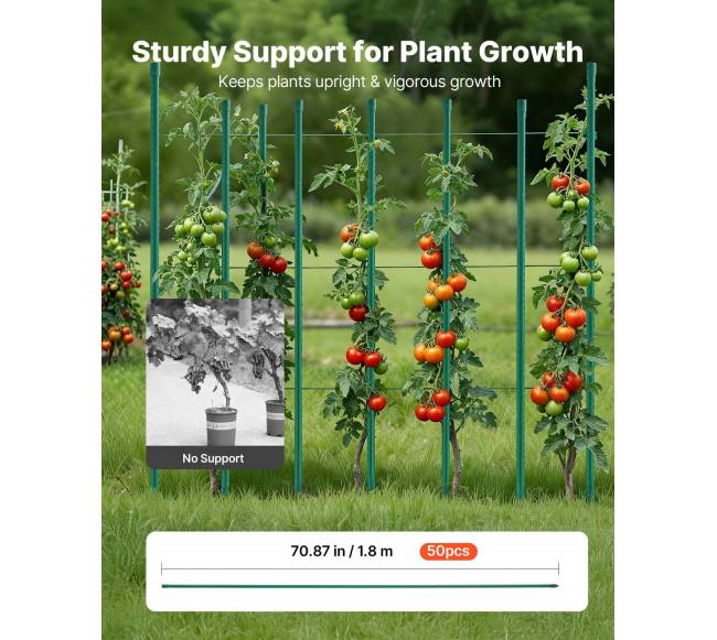 Sodo kuoliukai, 50 vnt, augalų atrama1