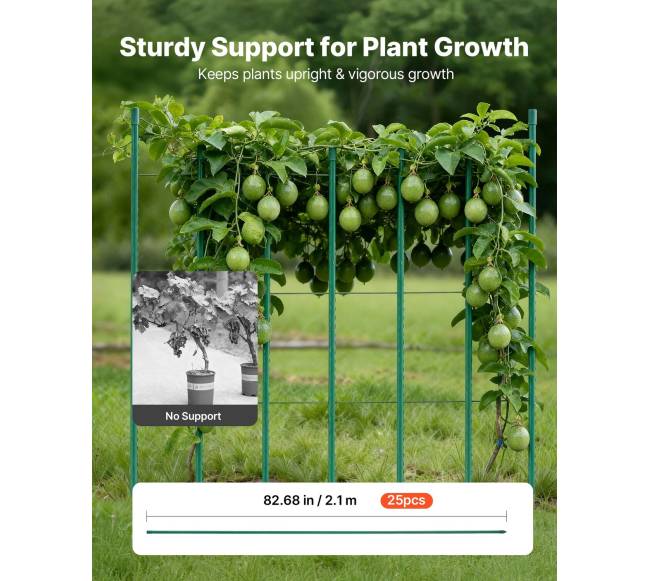 Sodo kuolai 25 vnt., 210 cm ilgis1