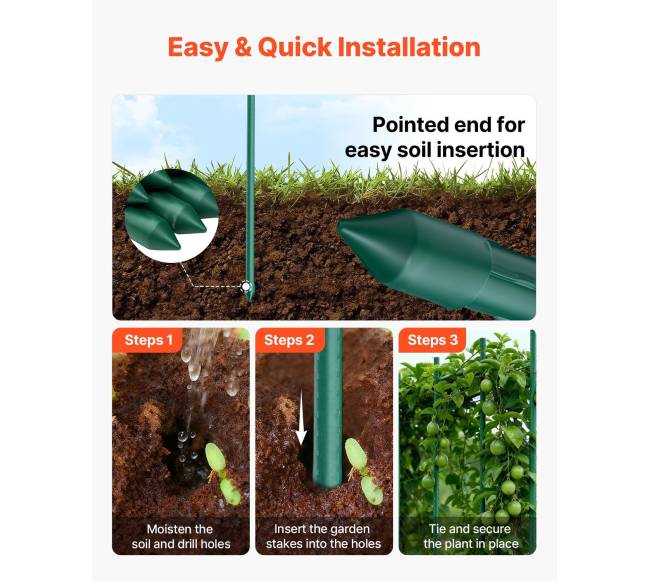 Sodo kuolai 25 vnt., 210 cm ilgis3