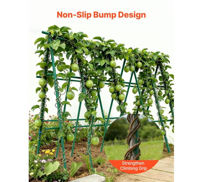 Sodo kuolai 25 vnt., 210 cm ilgis4