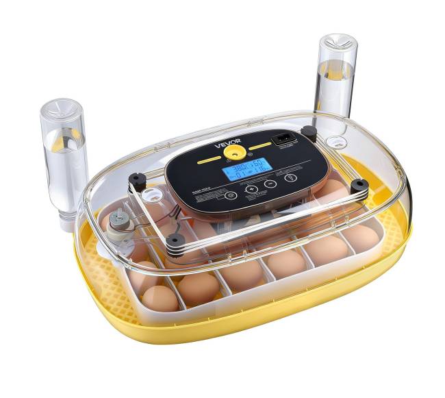 24 kiaušinių inkubatorius su automatiniu sukimu0