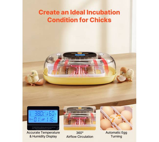 24 kiaušinių inkubatorius su automatiniu sukimu1