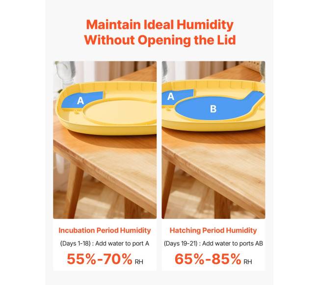 24 kiaušinių inkubatorius su automatiniu sukimu2