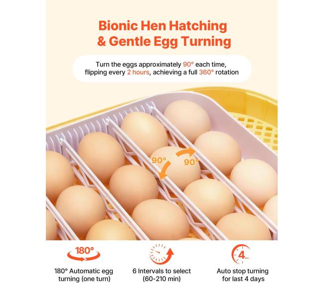 24 kiaušinių inkubatorius su automatiniu sukimu3