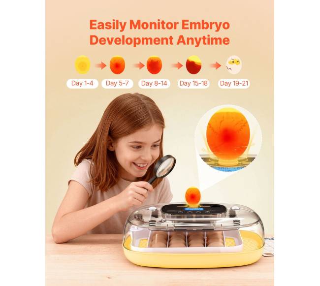 24 kiaušinių inkubatorius su automatiniu sukimu4