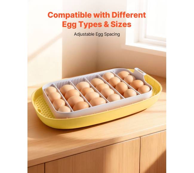 24 kiaušinių inkubatorius su automatiniu sukimu5