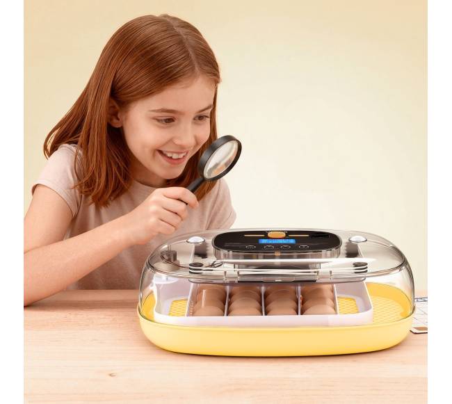 24 kiaušinių inkubatorius su automatiniu sukimu7