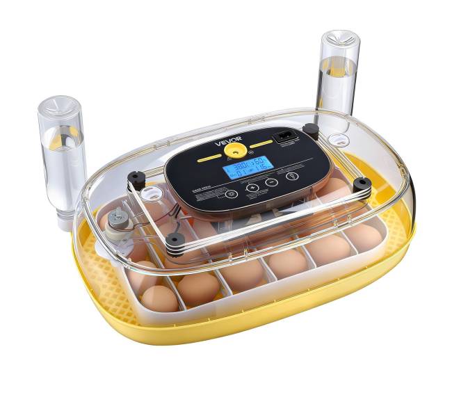 24 kiaušinių inkubatorius su automatiniu sukimu8