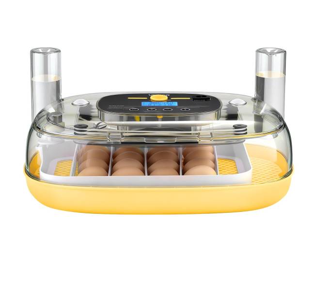24 kiaušinių inkubatorius su automatiniu sukimu9