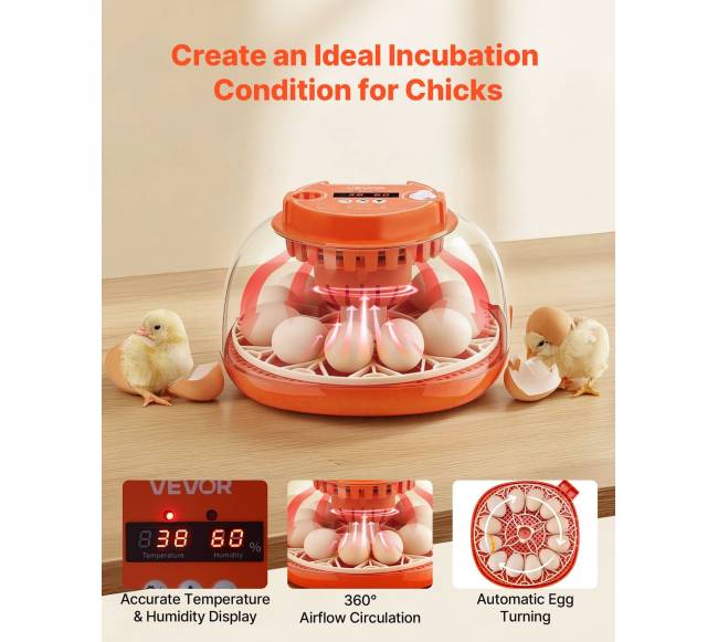 12 kiaušinių inkubatorius su LED žvake1