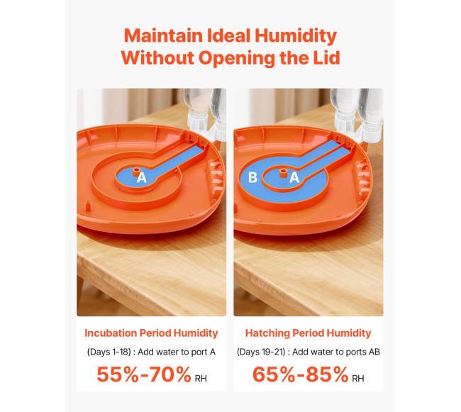 12 kiaušinių inkubatorius su LED žvake2