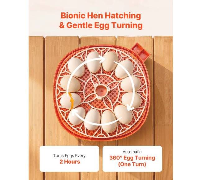 12 kiaušinių inkubatorius su LED žvake3