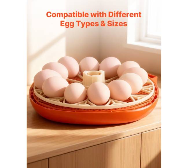 12 kiaušinių inkubatorius su LED žvake5