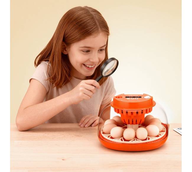 12 kiaušinių inkubatorius su LED žvake7