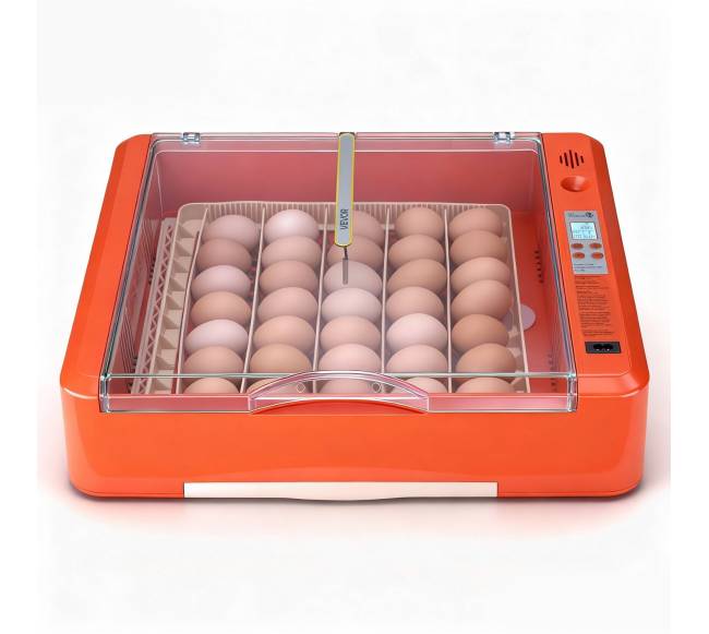 36 kiaušinių inkubatorius paukščių perinimui0