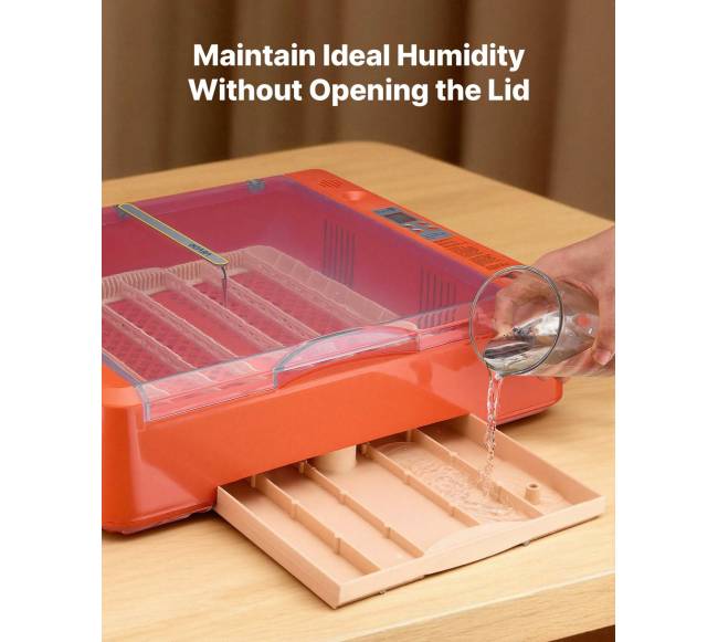 36 kiaušinių inkubatorius paukščių perinimui2