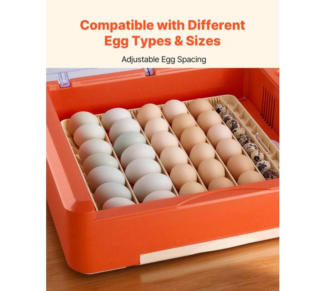 36 kiaušinių inkubatorius paukščių perinimui5