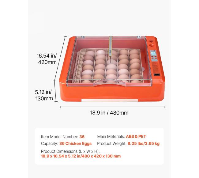 36 kiaušinių inkubatorius paukščių perinimui6