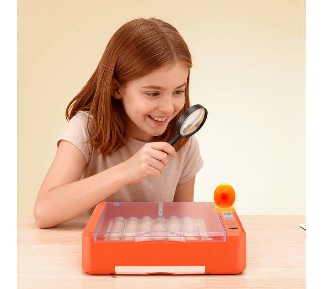 36 kiaušinių inkubatorius paukščių perinimui7