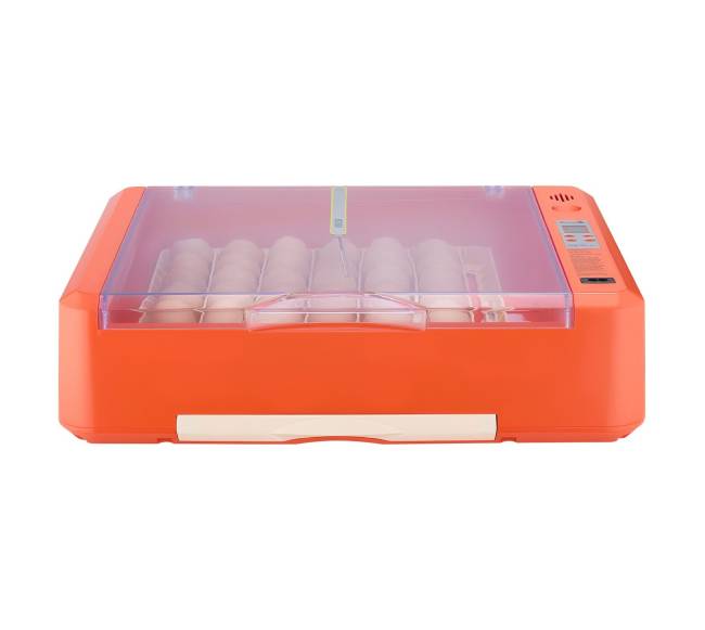 36 kiaušinių inkubatorius paukščių perinimui8