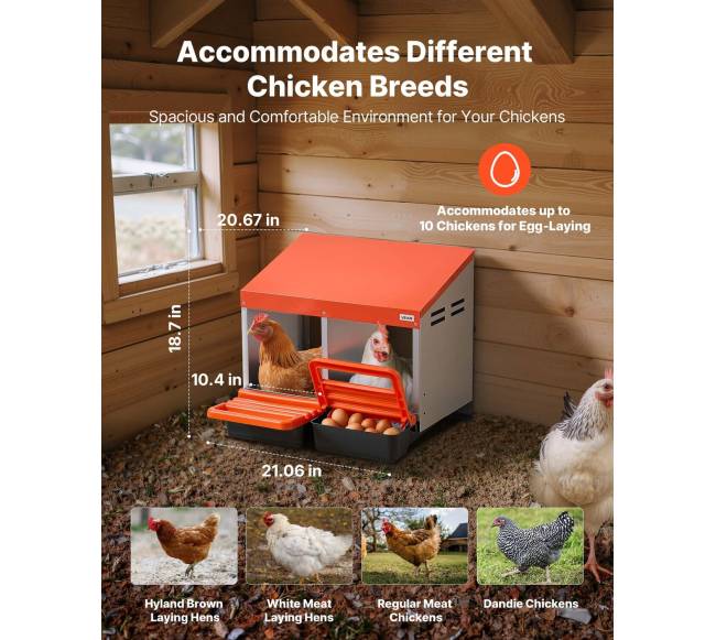 Vištų lizdai kiaušiniams, 2 skyriai, lengvas surinkimas1