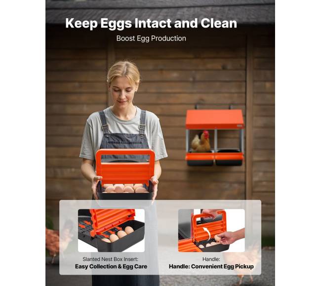 Vištų lizdai kiaušiniams, 2 skyriai, lengvas surinkimas3