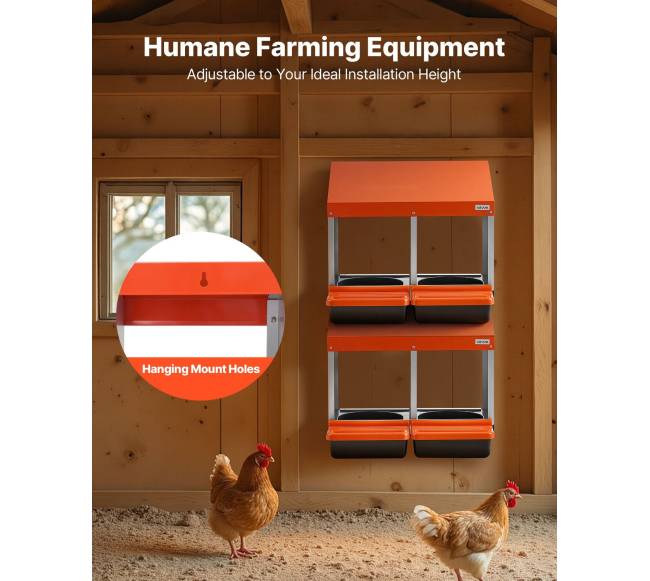 Vištų lizdai kiaušiniams, 2 skyriai, lengvas surinkimas4