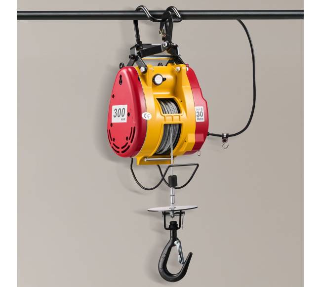 2-in-1 elektrinis keltuvas, 300 kg apkrova7